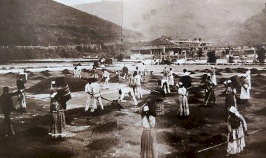 1882 - Escravos secando café