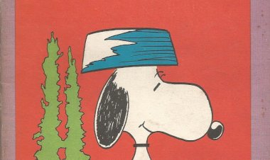 Compre aqui o Gibi - Snoopy & Charlie Brown N°10