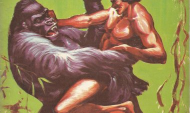 Compre aqui o HQ Tintin Numero 45 (1973)