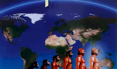 Os Exilados da Capela, Edgard Armond, Editora Aliança