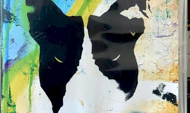 Dvd Quebrada 19. Em Todo o Mundo, as Ruas São o Palco desses Astros